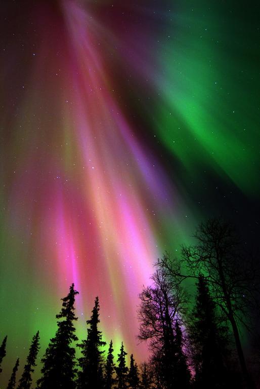 Lapland Northern Lights Hotel Ilveslinna ラヌア エクステリア 写真
