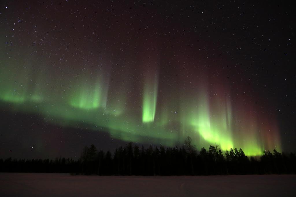 Lapland Northern Lights Hotel Ilveslinna ラヌア エクステリア 写真