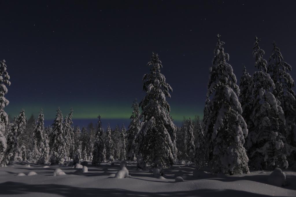 Lapland Northern Lights Hotel Ilveslinna ラヌア エクステリア 写真