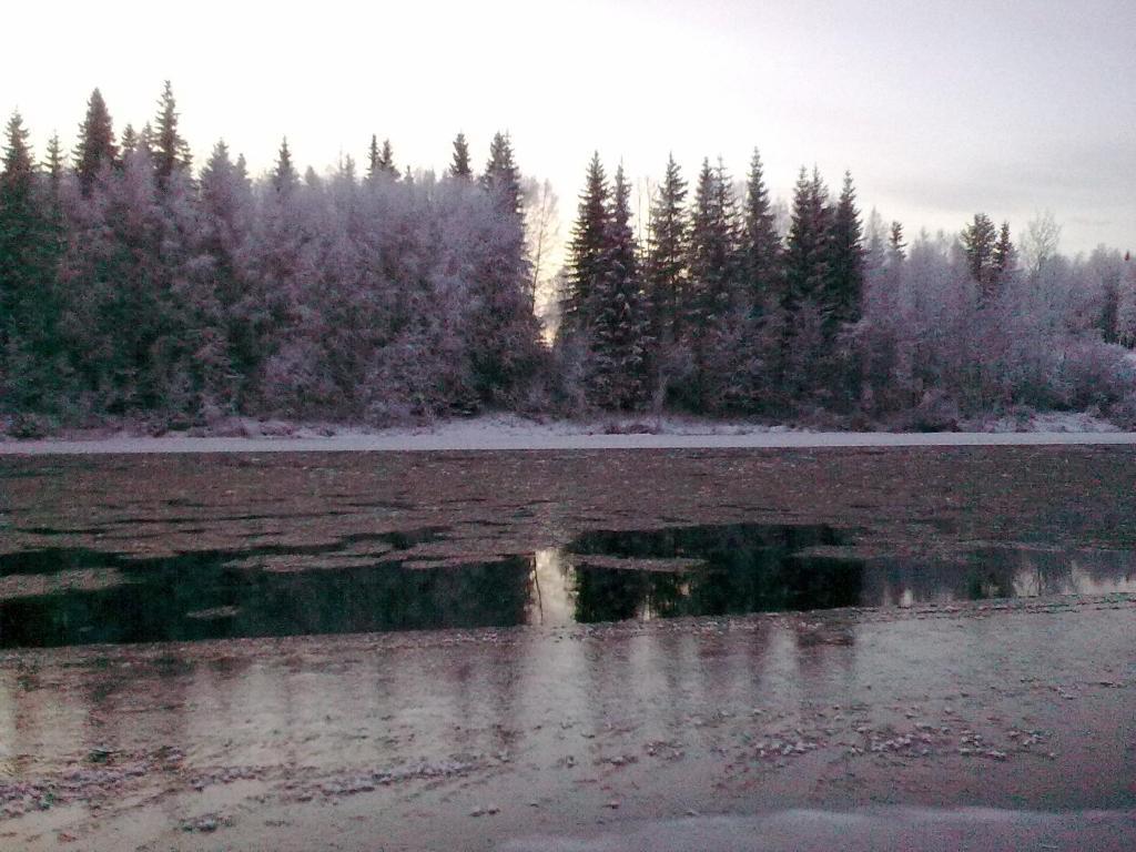 Lapland Northern Lights Hotel Ilveslinna ラヌア 部屋 写真