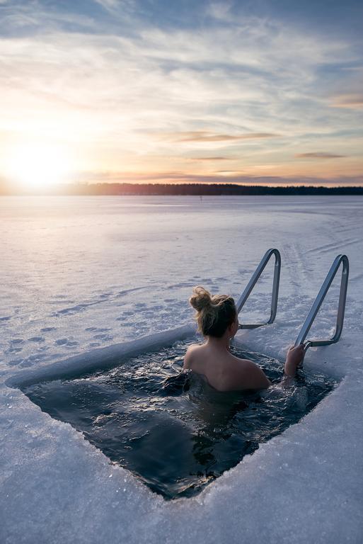 Lapland Northern Lights Hotel Ilveslinna ラヌア エクステリア 写真