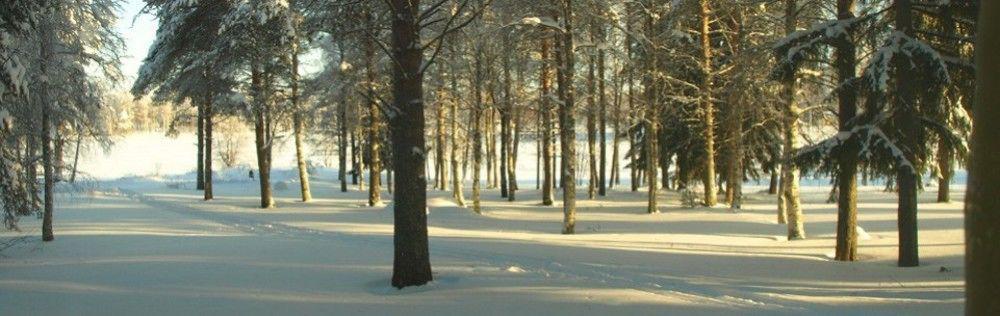 Lapland Northern Lights Hotel Ilveslinna ラヌア エクステリア 写真