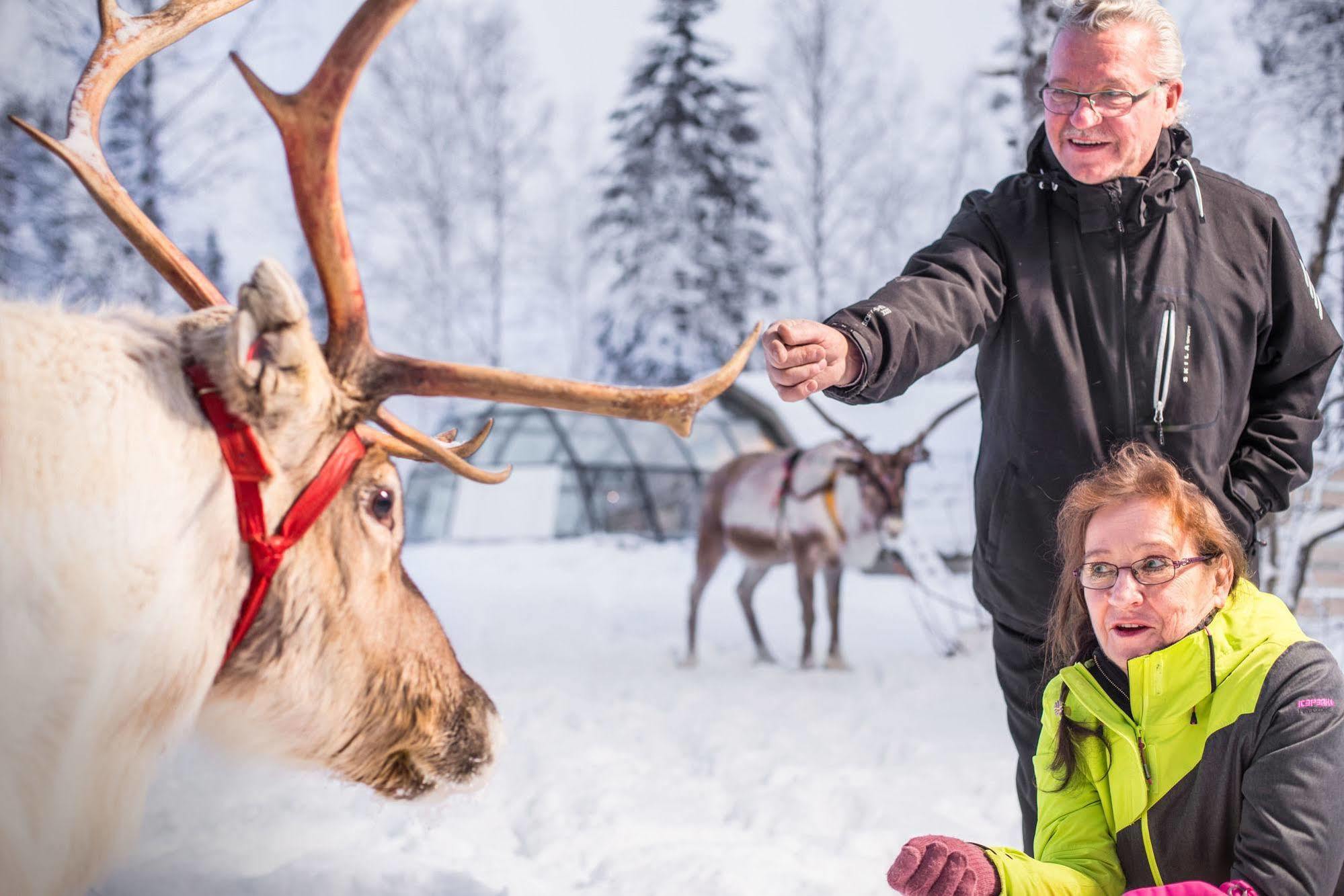 Lapland Northern Lights Hotel Ilveslinna ラヌア エクステリア 写真