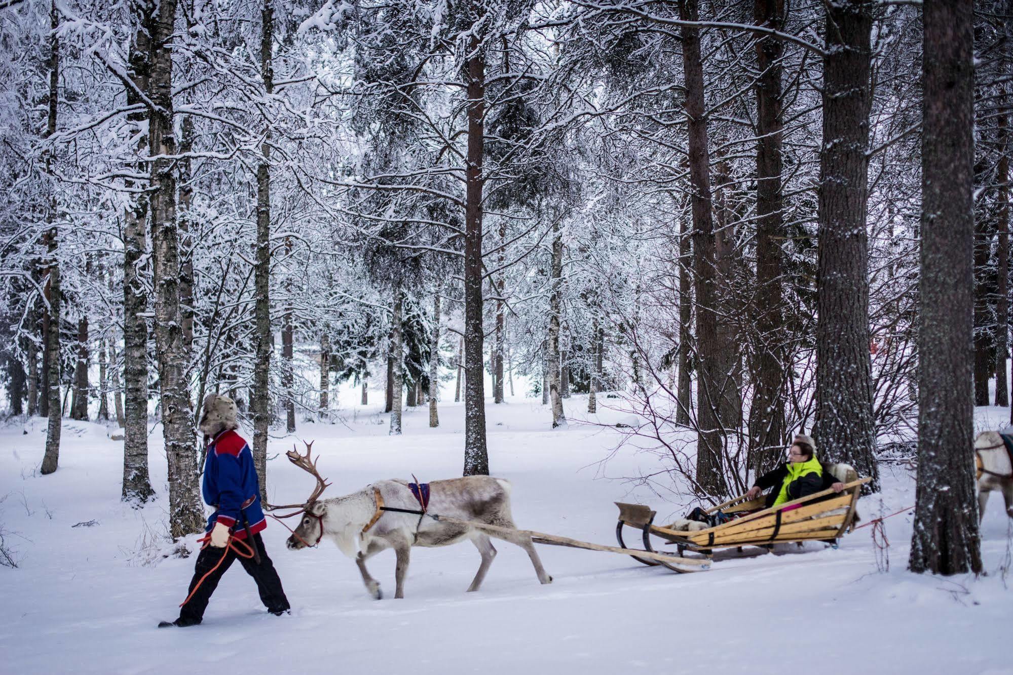 Lapland Northern Lights Hotel Ilveslinna ラヌア エクステリア 写真