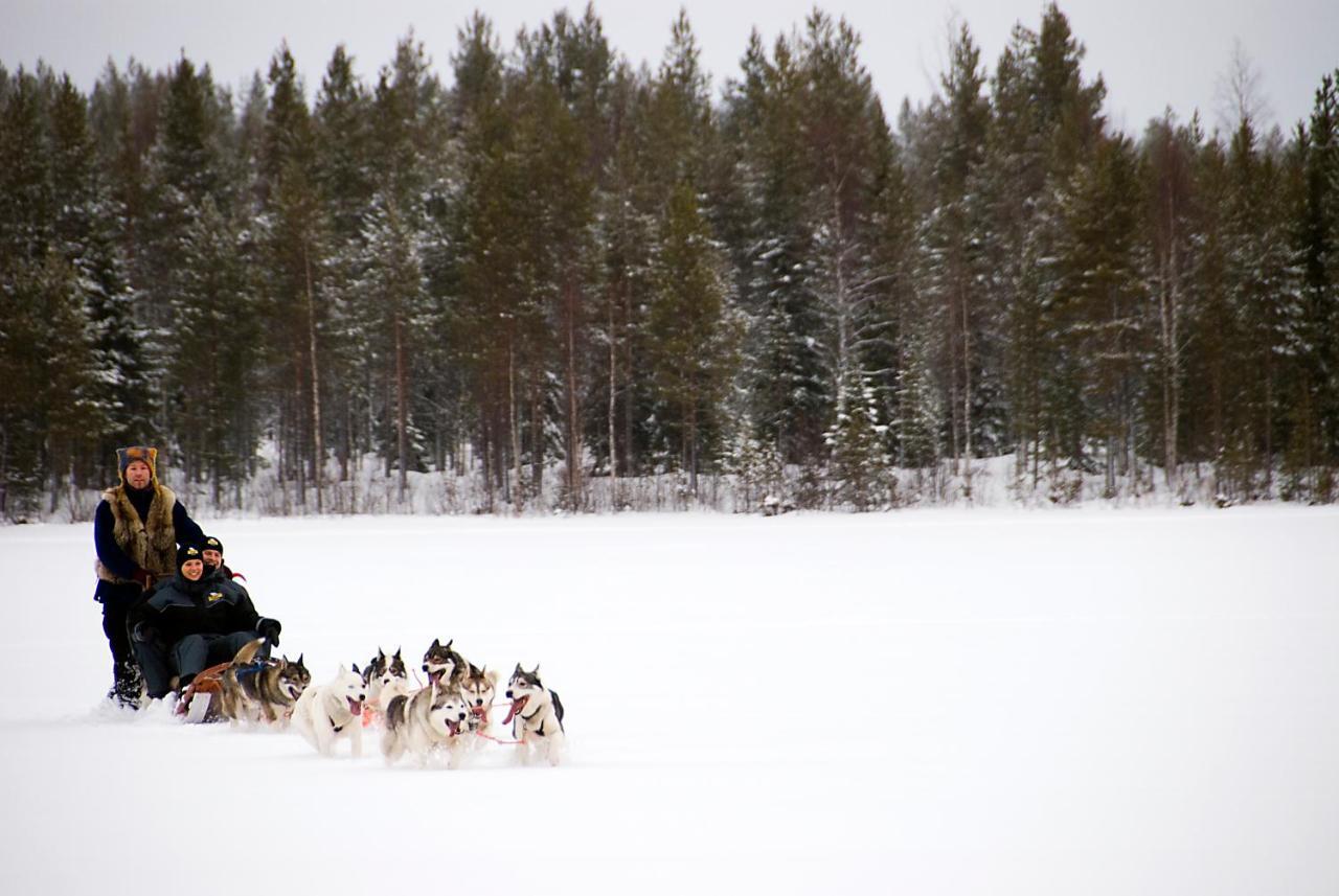 Lapland Northern Lights Hotel Ilveslinna ラヌア エクステリア 写真